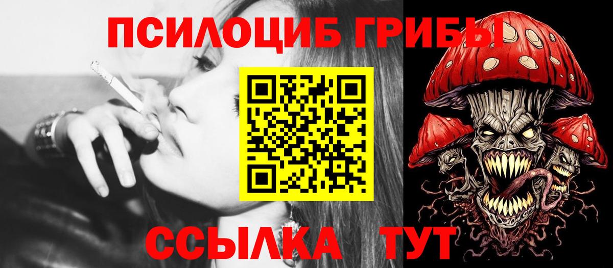 Псилоцибиновые грибы мицелий Родники