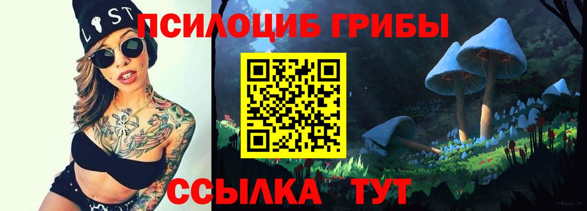 Родники  Псилоцибиновые грибы Psilocybe  Вход с VPN 